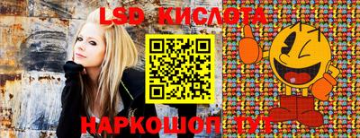 стафф Краснознаменск
