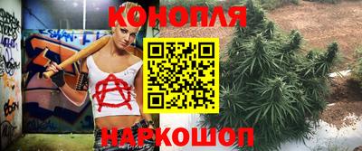 стафф Краснознаменск