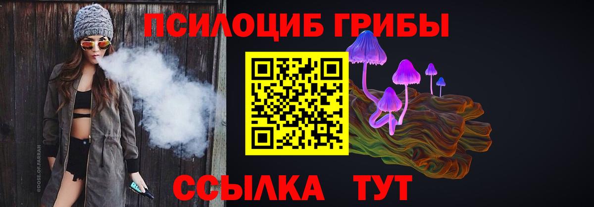 Псилоцибиновые грибы мицелий Дюртюли